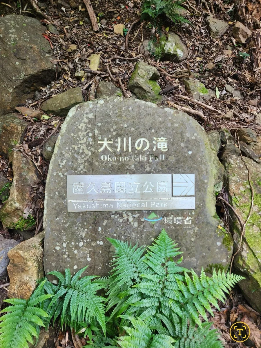 大川の滝 屋久島国立公園の石碑