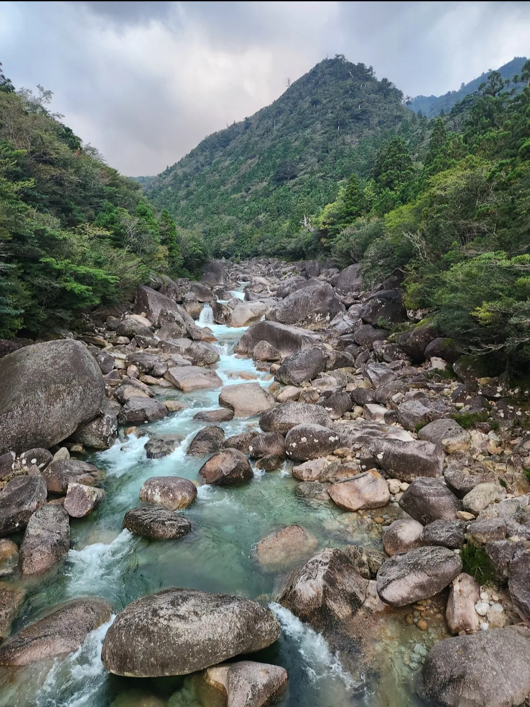 屋久島の清流と花崗岩